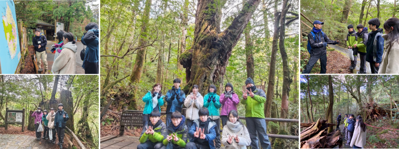 ヤクスギランド